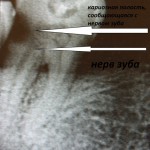 IMG_0786 IMG_0786
