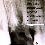 IMG_0787 IMG_0787
